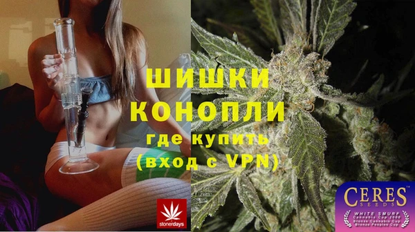 трава Белокуриха