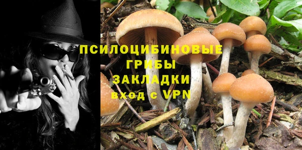 ПСИЛОЦИБИНОВЫЕ ГРИБЫ Балабаново