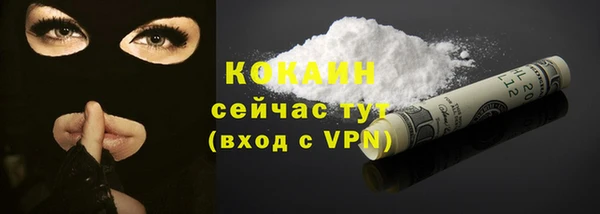 трава Белокуриха