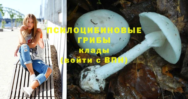 прущая мука Белоозёрский