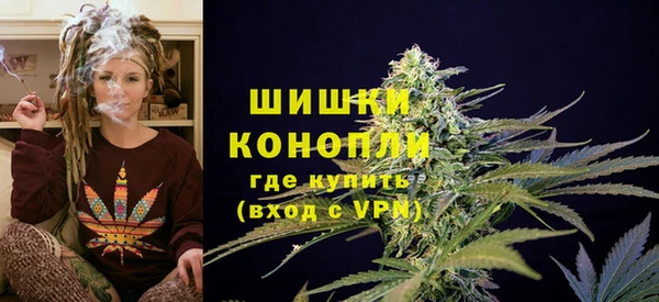 ПСИЛОЦИБИНОВЫЕ ГРИБЫ Балабаново