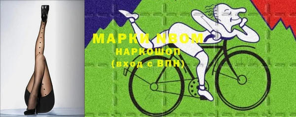 трава Белокуриха
