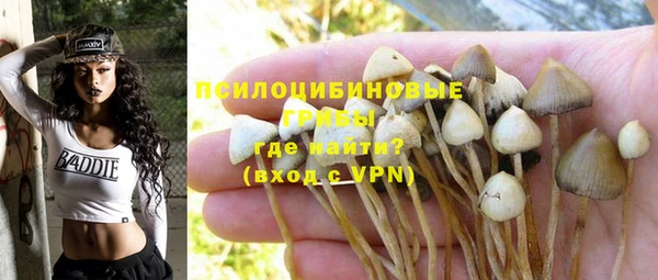 прущая мука Белоозёрский