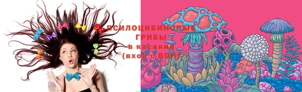 ПСИЛОЦИБИНОВЫЕ ГРИБЫ Балабаново
